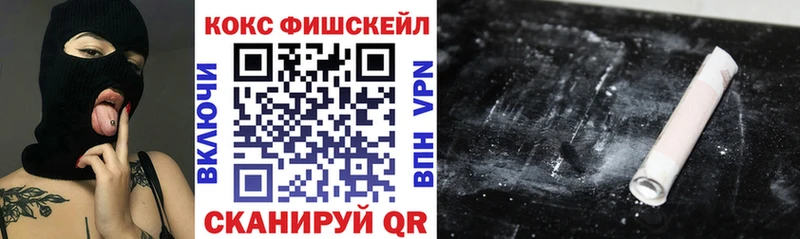 Купить закладки  Фокино  COCAIN 99% 
