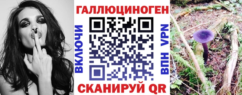 Псилоцибиновые грибы Cubensis  Купить где  Фокино 